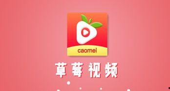 国产草莓APP在线视频,在线视频盛宴，畅享草莓时光