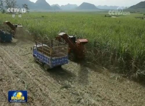 国产小农机视频网站,视频网站带你领略农业创新风采