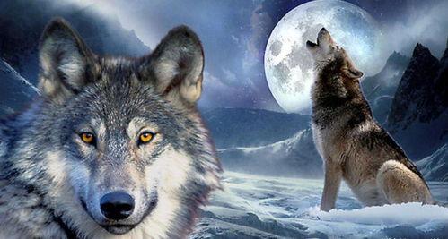 国产水上狼群最新视频,惊险刺激，展现我国水上救援力量