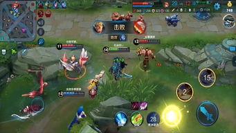 国产刺客打野视频大全,视频大全精彩回顾