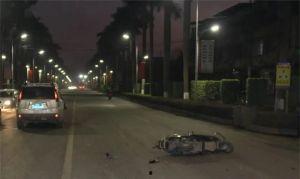 视频 国产区,传统与现代交织的农业瑰宝