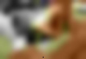 欧美一级国产高清视频,视觉盛宴与激情燃烧的瞬间