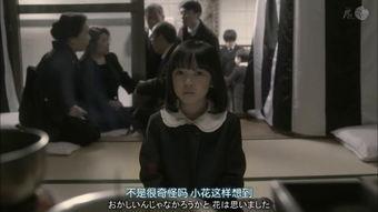 国产qj小视频,揭秘网络短视频的娱乐与争议