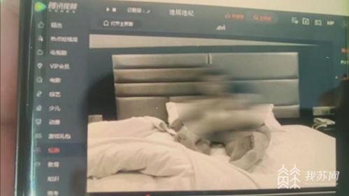 国产牛奶骗局揭秘视频,真相背后令人震惊！